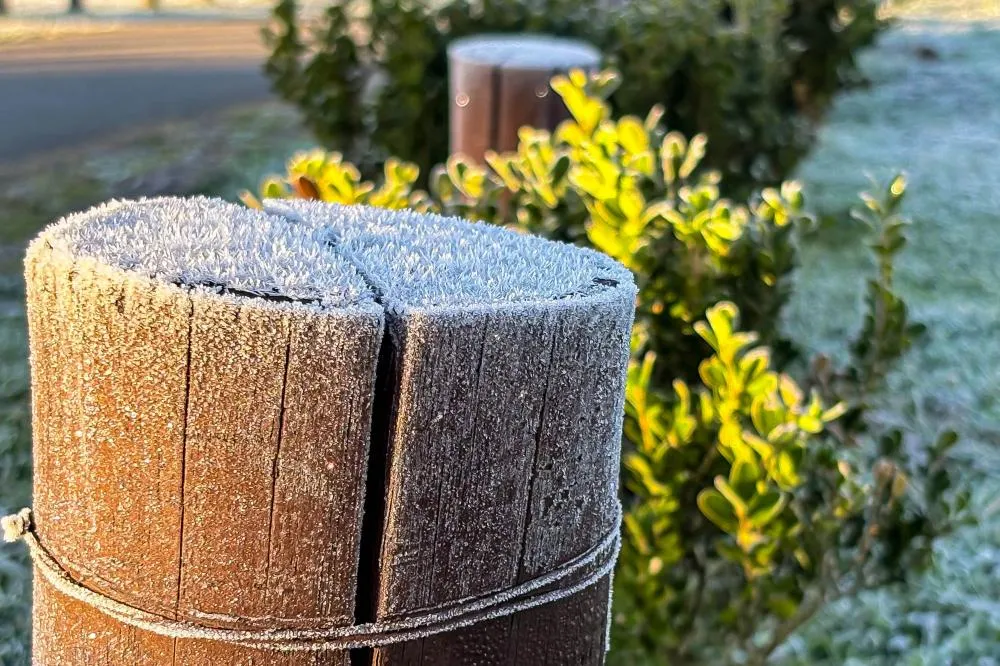 Quarta-feira amanhece com geada e temperatura negativa no Paraná