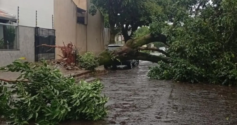 Defesa Civil registra 30 chamados após chuva e vendaval em Paranavaí