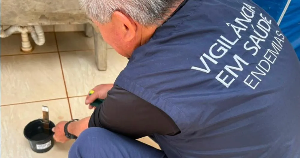 El Niño pode favorecer aumento de casos de dengue e exige atenção