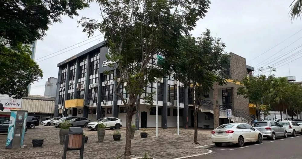Paranavaí registra 802 notificações para replantio de árvores em seis meses