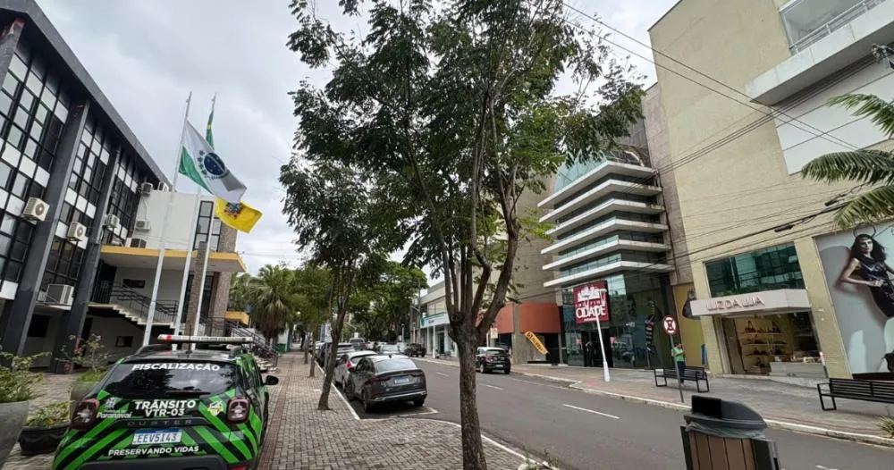 Paranavaí estabelece regras para pedidos de corte e poda de árvores