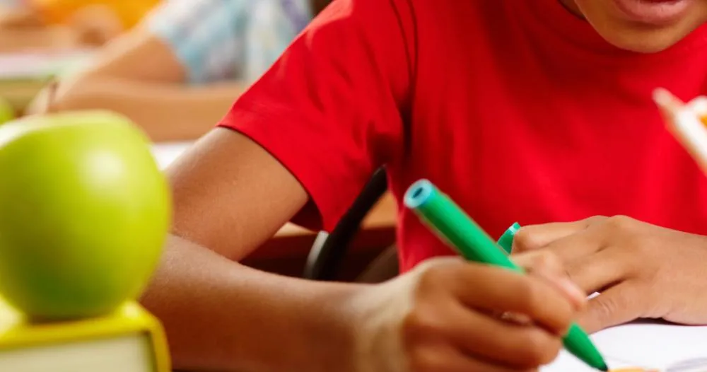 Secretaria de Educação de Paranavaí define prazo para matrículas e pedidos de transferência