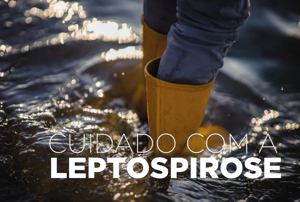Alerta de saúde pública: Leptospirose é doença silenciosa e após as chuvas aumenta o risco das pessoas adoecerem Foto: SESA