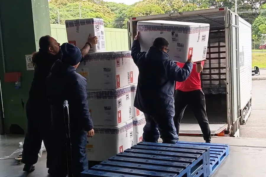 Paraná ofertará novo medicamento para prevenir vírus sincicial em bebês em fevereiro Foto: Cemepar